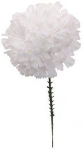 Silk flowers in bulk wholesale artificial orchids, 12 pcs (each 38.5), white. Amazon Com Larksilk White 3 5 Silk Carnation Flowers 5 Stem 100 Count Home Kitchen Carnations Artificial Flowers Flowers