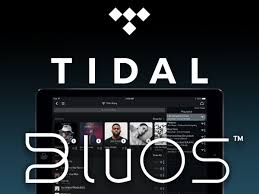 Play your favorite songs & discover new artists in the highest quality audio available. Tidal Connect Hifi Casting Technology Available On Bluos Connected Devices Audioxpress