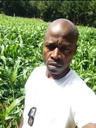 Cow Cow produce 'milk' Bee produce 'honey' Women produce 'babies And what  do Men produce