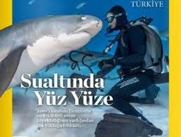 Sualtinda Kopek Baligiyla Yuzyuze Kopek Baligi Kopek Sualti Fotografciligi