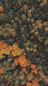 See more ideas about iphone wallpaper themes, iphone wallpaper, iphone. 100 Fall Iphone Wallpapers Ideas Fall Wallpaper Iphone Wallpaper Fall Iphone Wallpaper
