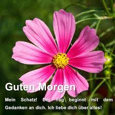 Will dich nur schnell ganz lieb grüßen und dir den morgen mit einem kuss versüßen. Guten Morgen Liebe Freunde 3 1 Apk Download Com Sayurilittlelilly88 Gmn1german Sayuri Apk Free