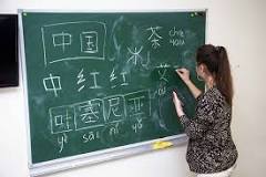 Image result for which is the best course to learn chinese