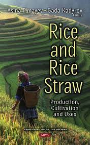 Bales of straw are so compressed that you might be surprised at how much of your garden one bale will cover. Rice And Rice Straw Production Cultivation And Uses Nova Science Publishers