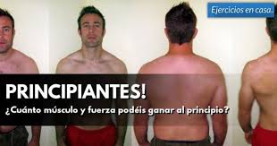 Ejercicios, rutinas, entrenamientos, trucos, consejos y recomendaciones para ganar masa muscular de forma efectiva y natural. Ganar Musculo Principiantes Ejercicios En Casa