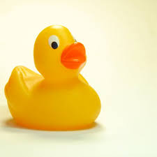 Reviewed by mary sweeney, bsn, rn, cen. Don T Stress About Moldy Bath Toys