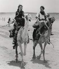 Masha didn't see a seal. 33 Brendan Fraser Ideas Brendan Fraser Brendan Fraser