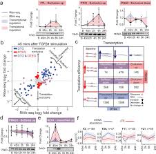 Read the any books now and if you do not have technology has developed, and reading 2005 western star wiring diagram books may be far more convenient and much easier. Translational Control Of Cardiac Fibrosis Biorxiv