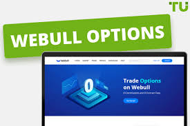 The one and only reason i started trading crypto there is because their site stated crypto can be traded 24 hours. Webull Options Everything You Need To Know About Webull Option Trading To Earn More