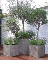 We did not find results for: China Fiberglass Reinforced Concrete Planters Grc Flower Pots Outdoor Garden Waterproof China Grc Planters And Frc Planters Price