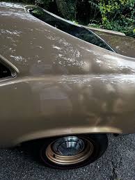 Image result for Autumn Gold 1963 Nova