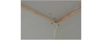 The definition of coving from britannica.com: Gap In Ceiling Corner Between Wall And Ceiling Plasterboard Download Scientific Diagram