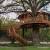 Treehouse Masters