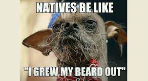 Maybe you would like to learn more about one of these? Friday June 8 2018 The Best Native Memes Native America Calling