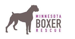 Über 7 millionen englischsprachige bücher. Pets For Adoption At Minnesota Boxer Rescue In Woodbury Mn Petfinder