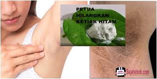 Sayangnya, mencukur rambut ketiak bisa meningkatkan risiko kulit ketiak hitam. Ketiak Anda Hitam Cuba 5 Petua Semulajadi Berkesan Hilangkan Bekas Hitam Pada Ketiak Kartel Dakwah