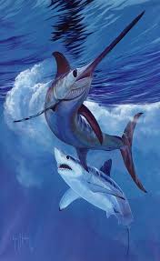 Live By The Sword The Mako And Swordfish In An Epic Confrontation Ocean Animals Sea Animals Sea Creatures