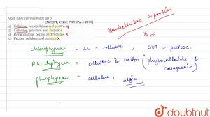 Are cell walls made of cellulose. Algae Have Cell Wall Made Up Of