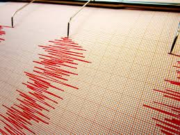 Image result for Deep Sea 2011 HS