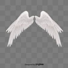 White Angel Wing Feather Png And Psd Wings Png Angel Wings Png Wings