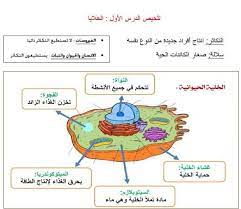 ملخص علوم شامل للصف الرابع الفصل الدراسي الأول 2019 https emarat education blogspot com 2018 10 science fourth grade ae 14 htm fourth grade education science