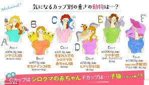 Japanese Lingerie Firm Unveils Chart Which Reveals Which