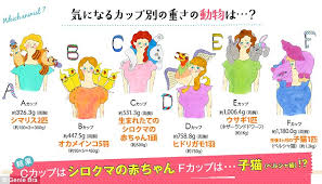 japanese lingerie firm unveils chart which reveals which