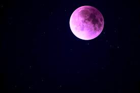 I hope you feel a little happier after exploring around here! No Te Pierdas Esta Semana El Fenomeno De La Super Luna Rosada El Contraste