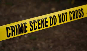 Get all latest news about nico swart, breaking headlines and top stories, photos & video in real time. Ffia4opshd0axm
