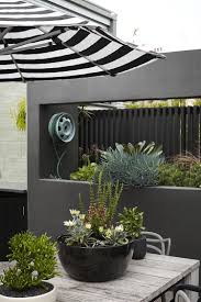 Bondi Courtyard Garden Project Photography By Natalie Hunfalvay Balcony Garden Rooftop Garden Courtyard Gardens Design