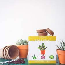 We're ready to help you start your next project. Nature S Blossom Complete Set With Seeds Planting Pots Organic Soil And Guide Succulent And Cactus Growing Kit X001l8k67d The Home Depot