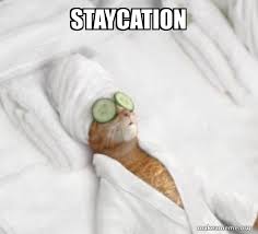 Meme animation — identities meme 00:45. Staycation Pampered Cat Meme Make A Meme