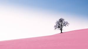 You can also upload and share your favorite surreal backgrounds. Surreal Pictures Download Free Images On Unsplash