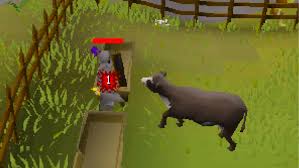 Uhmm.. Jagex? : R/Runescape