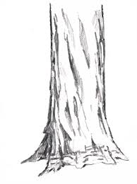 How To Draw Trees Vertical Cracks Tree Drawing Tree Trunk Drawing Tree Drawings Pencil