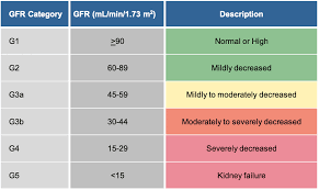 Image result for Renal Function