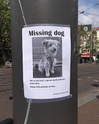 9gag On Twitter Missing Dog Everyday World Of Wolfie Ig Https T Co Mzk8corhtl Twitter