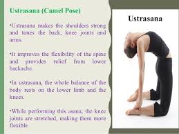 We did not find results for: Top 6 Yoga Asanas For Knee Pain