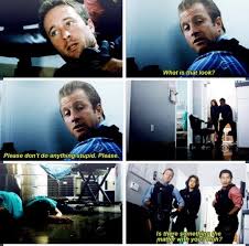 Please Don T Do Anything Stupid Hawaii Five O Hawaii Scott Caan
