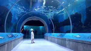 Guadalajara Para Ninos Gdlgo Guadalajara Turistica