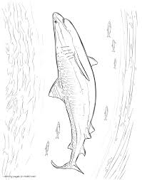 Realistic great white shark coloring page | free printable coloring pages. Great White Shark Coloring Pages Coloring Pages Printable Com