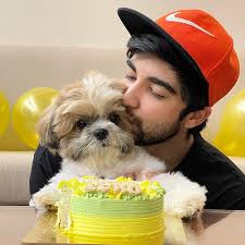 It's My Day 🐶🎂 #happybirthday #birthdaycake #love #5 #happiness #doggo  #dogsofinstagram #dogbrandambassador #doggie #echo #echobhambri #puppylove  #cake #cakelover