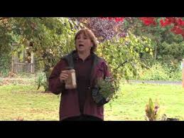 Five of the best herbs. Garden Maintenance How To Repel Flies With Herbs Youtube
