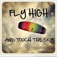 Flying is pure passion and desire, which fill a lifetime. Fly High Quotes Quotesgram