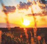Nature Sprouts: Here Comes the Sun