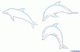 Dolphin Drawings In Pencil How To Draw A Jumping Dolphin Step 1 Dolphin Drawing Dolphin Clipart Dolphins