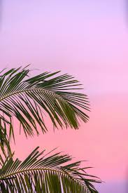 We hope you enjoy our growing collection of hd images to use as a background or home screen for your smartphone or computer. Summer Wallpapers Free Hd Download 500 Hq Unsplash