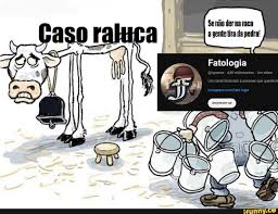 Casoraluca memes. Best Collection of funny Casoraluca pictures on iFunny  Brazil