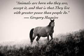 Quote of the day feeds. 25 Quotes About Animals That Will Make You A Better Human