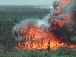 The map also includes links to updates from the province's 10 forest. Calgary Source Water Protection Task Forces Study Wildfires Reservoir Risks